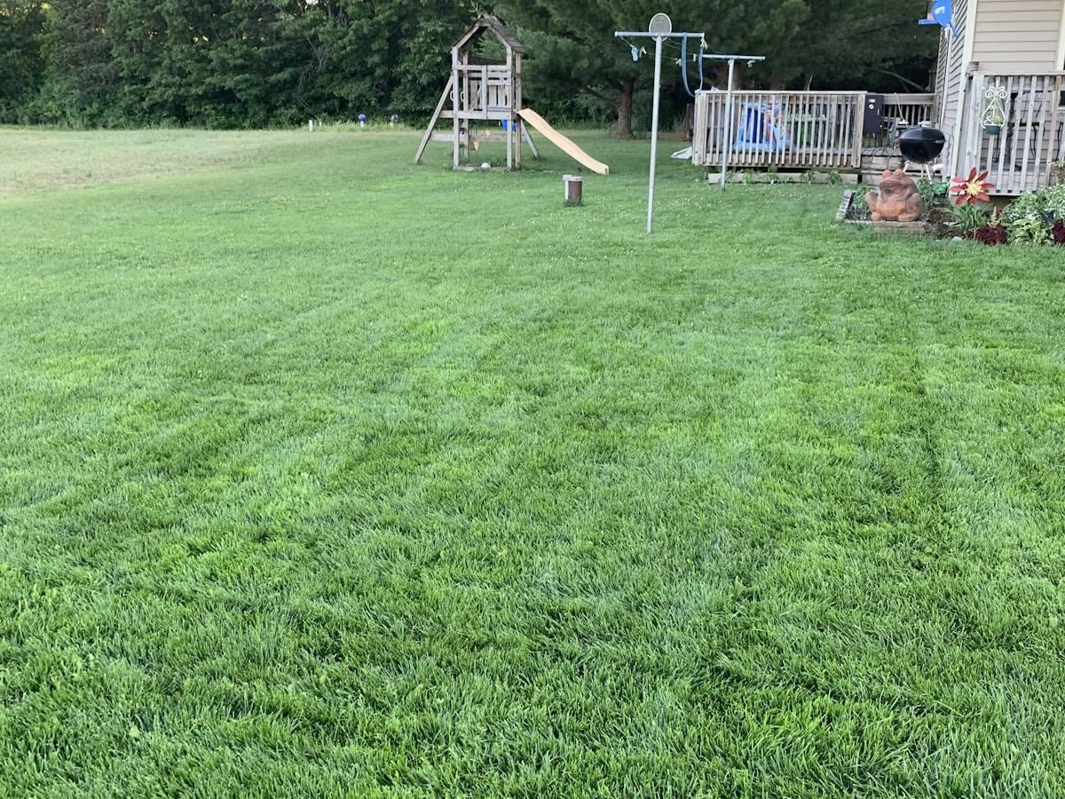 JCTX Lawn Care showcase 2