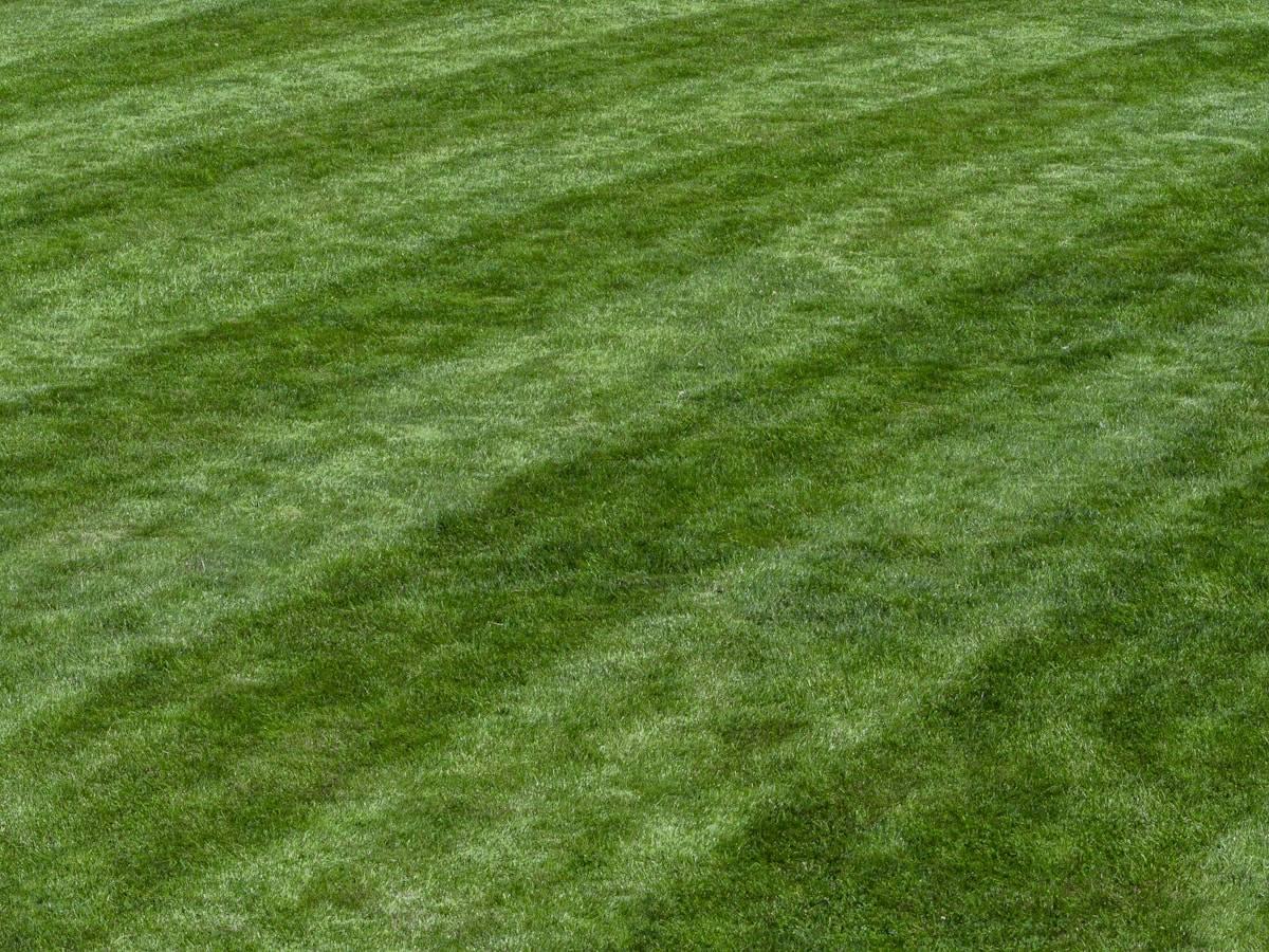 Lawn Maintenance