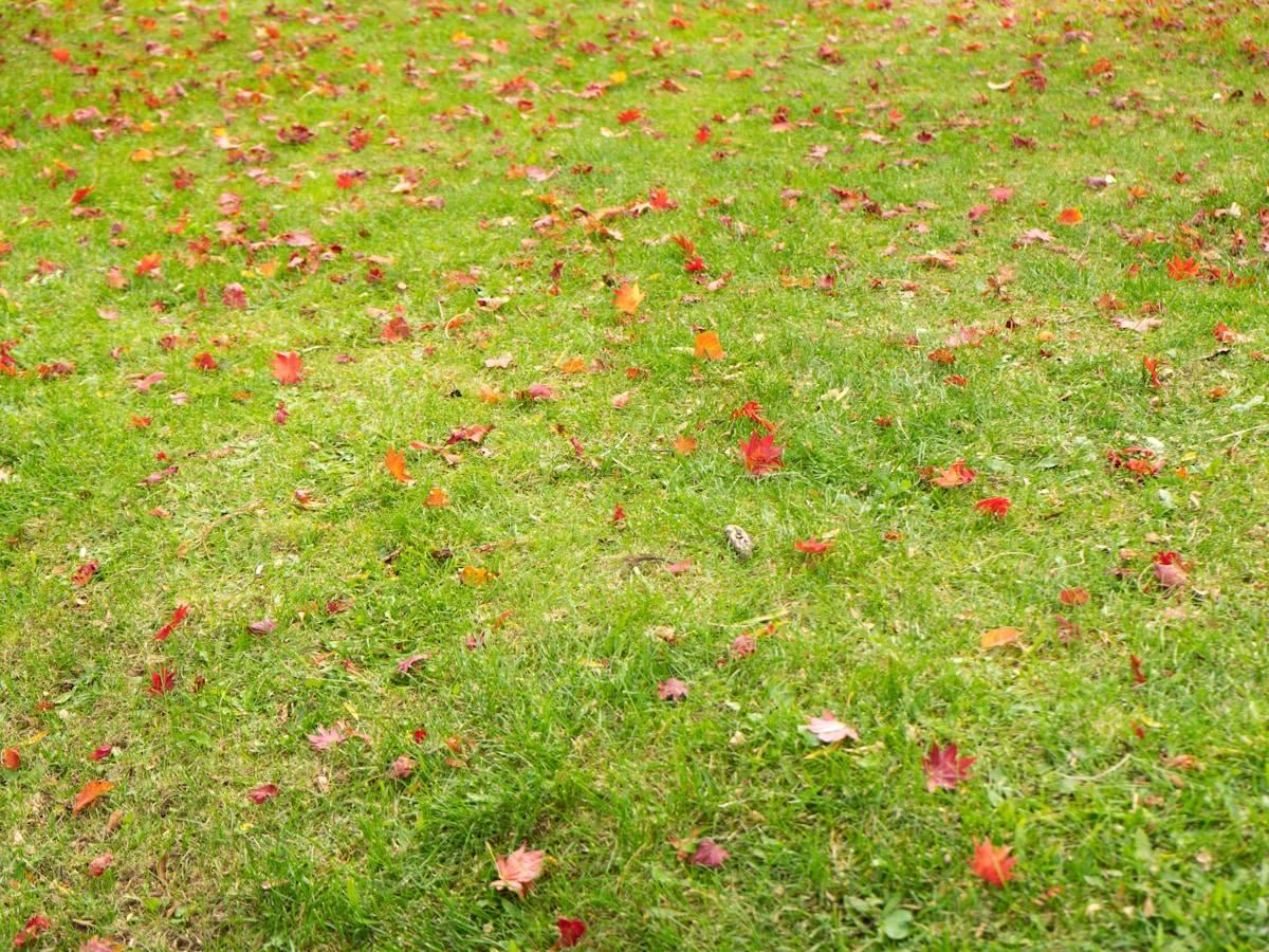 Property Cleanups