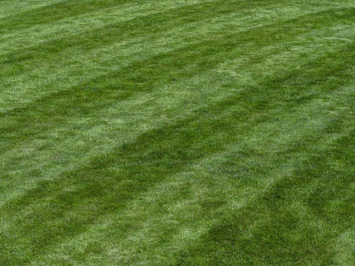 Lawn Maintenance